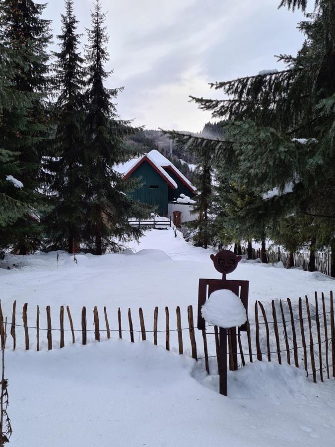 Apartment Waldblick
