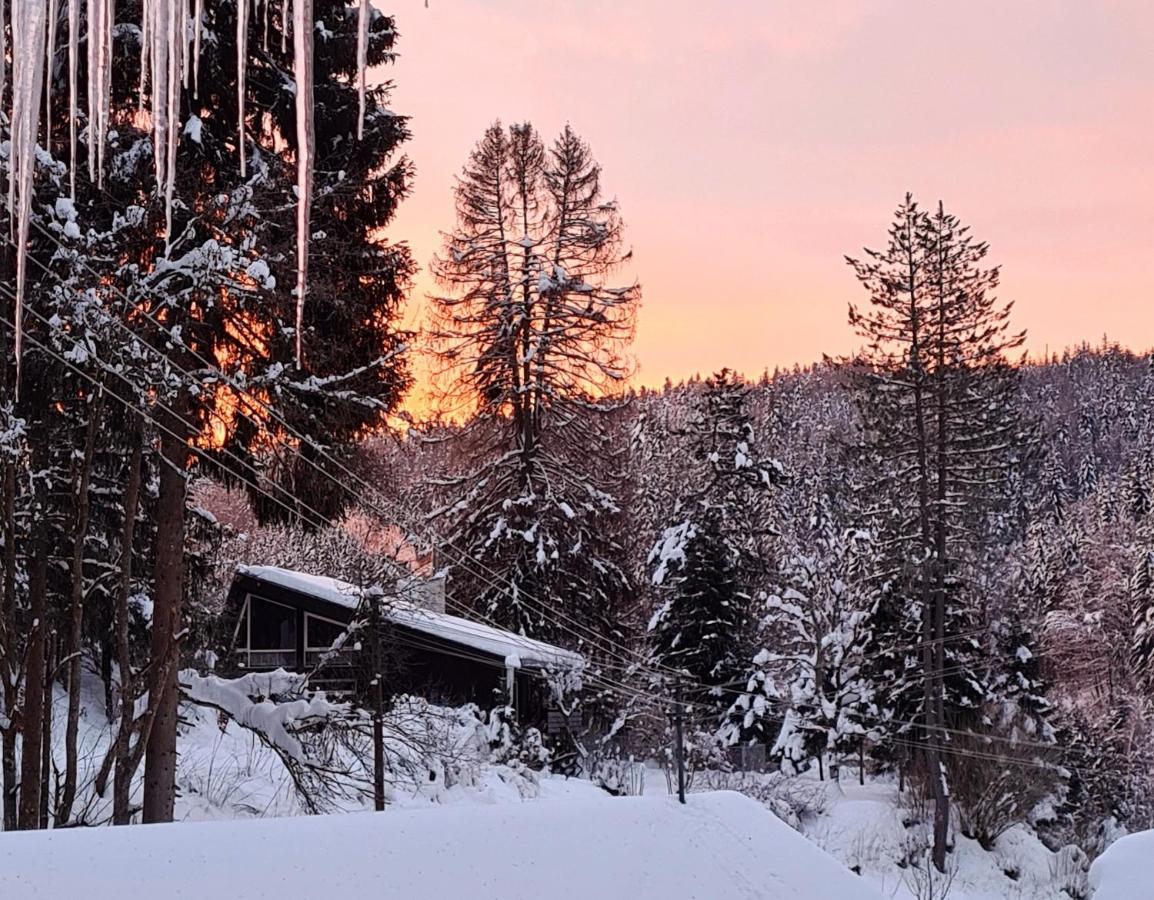 Apartment Waldblick Bonndorf im Schwarzwald