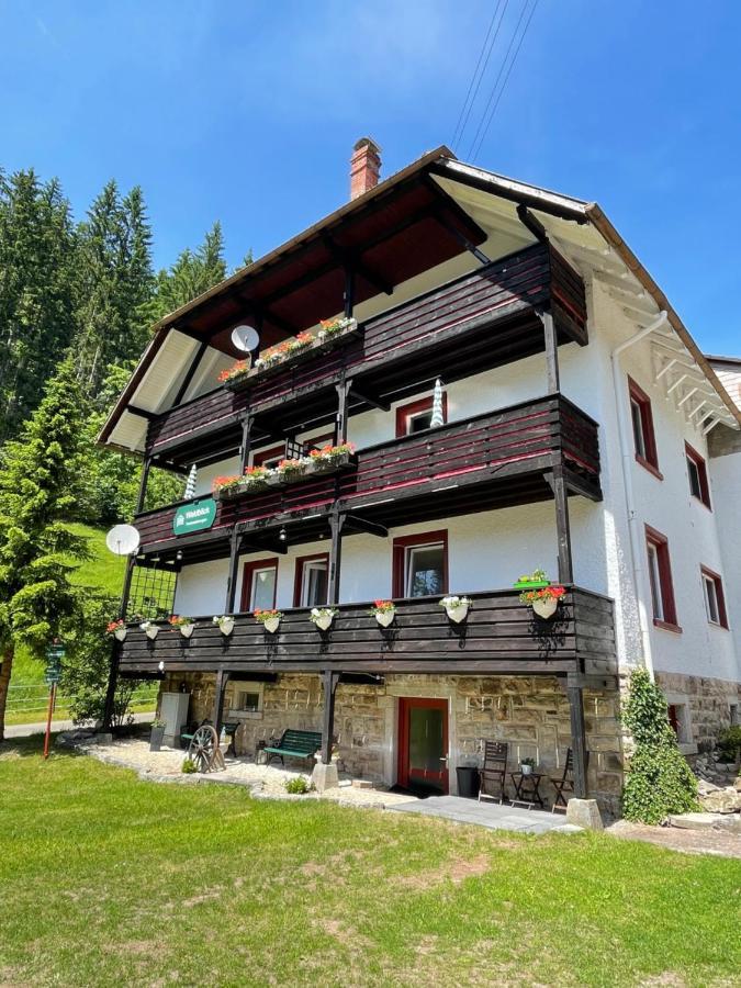 Apartment Waldblick