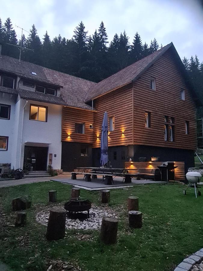 Waldblick