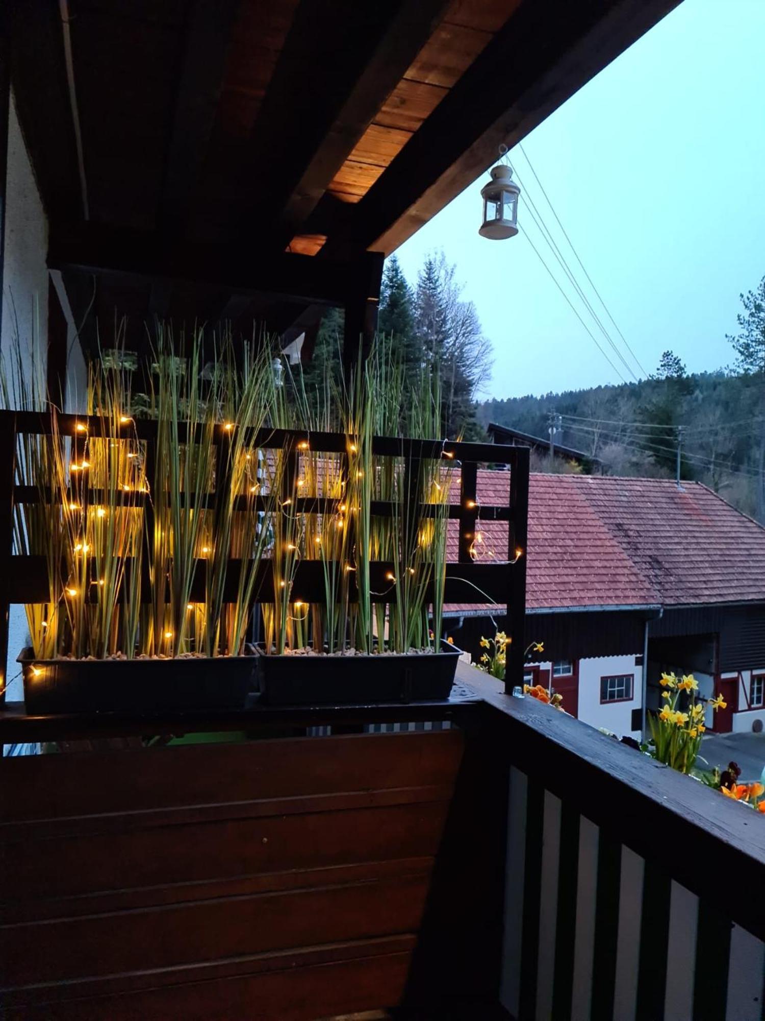Waldblick Apartment
